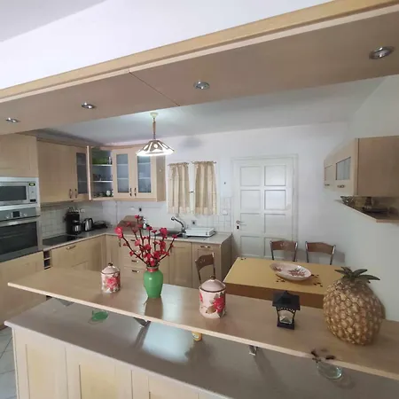 펜션 Sunflower House 바티